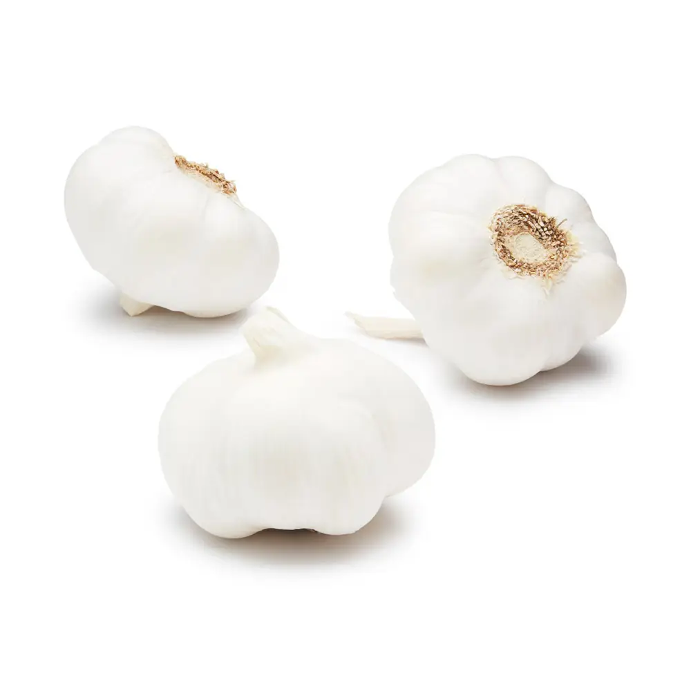 Garlic - Görsel 1