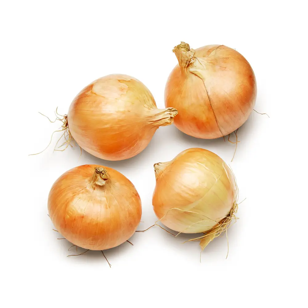Jumbo Yellow Onion - Görsel 1