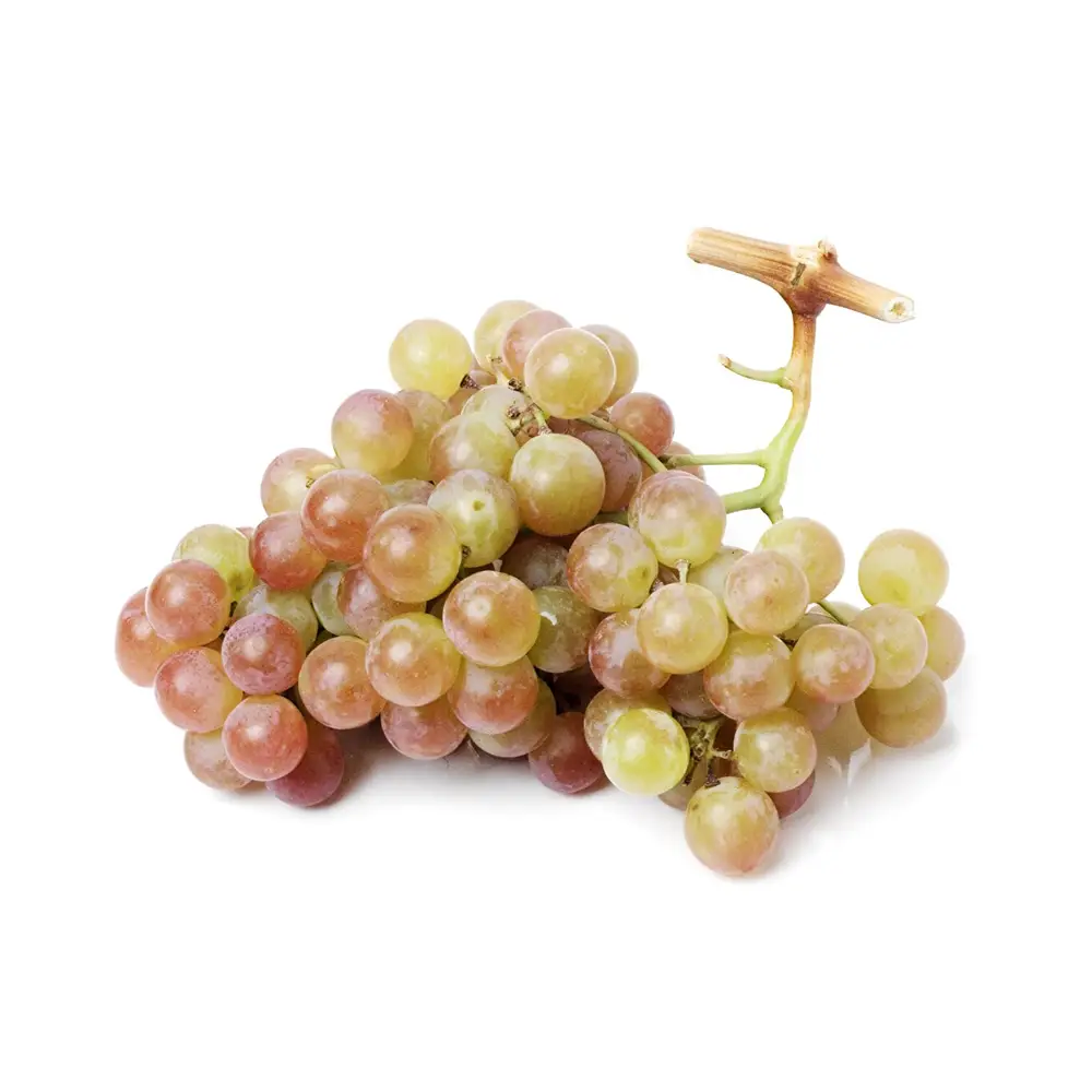Muscat Grapes - Görsel 1