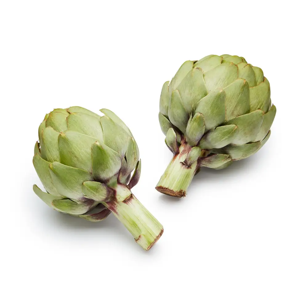 Organic Artichoke - Görsel 1
