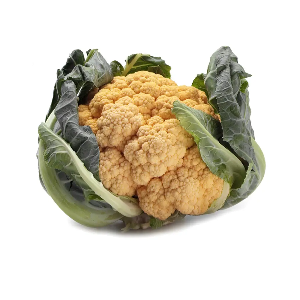 Organic Cauliflower - Görsel 1